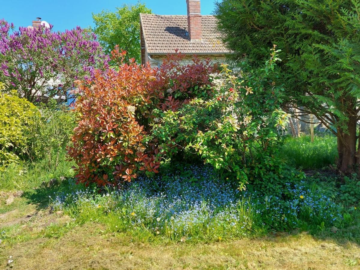 Chez Robins Villa Trie-Château Exteriör bild